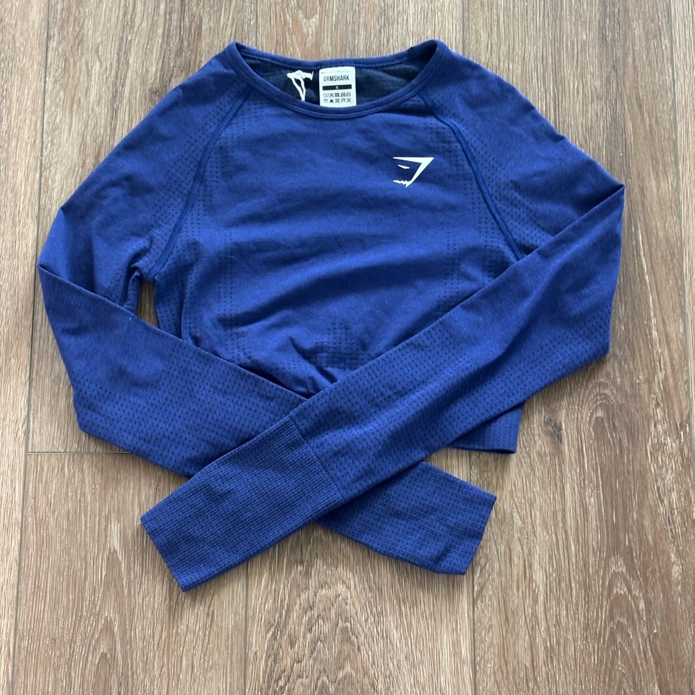 Gymshark Blue Long Sleeve Crop Top